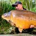 Jason Cann - Facebook