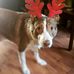 Jason Capes - Facebook