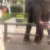 Jason Capes - @jason.capes - TikTok