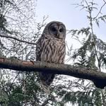 Jason Cappelloni - @jasoncappelloni - Instagram