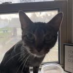 Jason Carlock - @tarkov_princess - Instagram