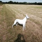 Jason Carlsen - @jasoncarlsen - Instagram