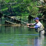 Jason Catania - @jasoncataniafishing - Instagram