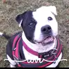 Jason Cater Reed - @jason.cater.reed - TikTok