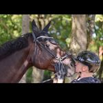 Jasondbr.cavalier - @jason_cavalier_ - Instagram