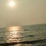 celia_jason70 - @celia_jason70 - Instagram