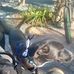 Jason Celli - Facebook