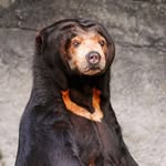Jason Cena - @ababykrogan - Instagram