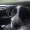 Jason - @jason.centers - TikTok