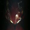 Jason - @jason.rch - TikTok