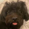 jasonn_ch - @jasonn_ch - TikTok