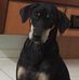 Jason Chee - Facebook