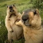 JASON - @_jasonchoy_ - Instagram