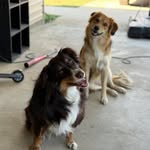 Jason Chumley - @jason.chumley.5 - Instagram