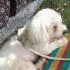 Jason ichon - @jason.ichon - TikTok