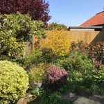 Jason Clarkson - @peddarswaygardenservices - Instagram
