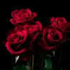 Jason Clarkson - @jason.clarkson96 - TikTok