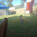 Jason Clear - Facebook
