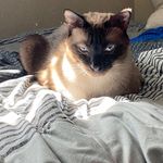 Jason Wayde Cleary - @jason_cleary1127 - Instagram