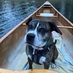 Jason Clemmer - @rufusdog2022 - Instagram