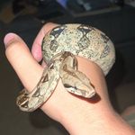Jason Clemmer - @_jason_75_ - Instagram