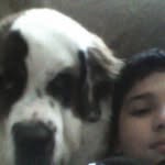 jason ian clemmer - @jasonclemmer7582 - Instagram