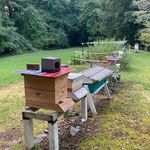 Jason Cockerham - @roosterpighoneybees - Instagram