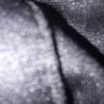 Jason Colin - @jasoncolin2 - Instagram