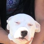 Jason Conant - @jason1598 - Instagram