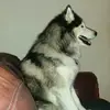 jasonconant229 - @jasonconant229 - TikTok