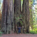 Jason Coolidge - @coolidge986 - Instagram