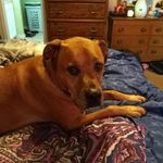 Jason Coolidge - @jason.coolidge.754 - Instagram