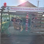 jason copp - @copp4592 - Instagram