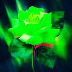 Jason Corder - @jason_corder - Instagram