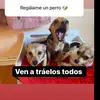 Jason Coreas - @jason.coreas4 - TikTok
