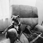 Jason Cottrill - Facebook