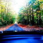 jason cottrill - @jason_cottrill - Instagram
