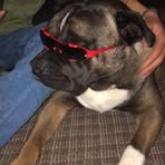 Jason Couto - Facebook