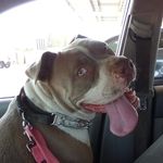 Jason Criswell - @jasoncriswell98 - Instagram