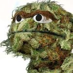 Jason Criswell - @jcriswell978 - Instagram