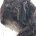 Jason Crone - Facebook