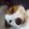 Jason Crossley - @jasoncrossley1603 - TikTok