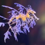 Jason - @jason.crossley.399 - Instagram