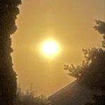 Jason Cuff - @jasoncuff_ - Instagram