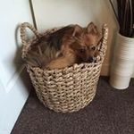 Jason Cutting - @jmhughes1971 - Instagram