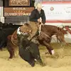Jason Surles Cutting Horses - @jasonsurlescuttinghorses - TikTok