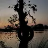 Jason Dallal - @jasondallal - TikTok