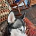 Jason Dalrymple - Facebook