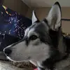 jasondanielle0 - @jasondanielle0 - TikTok