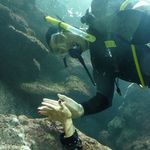 Jason Dare - @sf.dare - Instagram